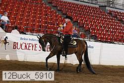 12buck_5910 thumbnail