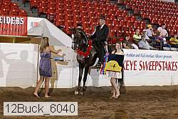 12buck_6040 thumbnail