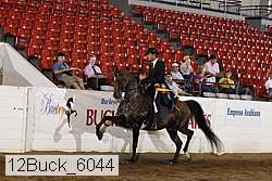 12buck_6044 thumbnail