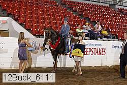 12buck_6111 thumbnail