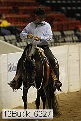12buck_6227 thumbnail