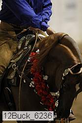 12buck_6236 thumbnail