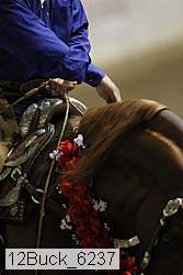 12buck_6237 thumbnail