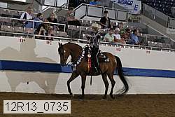 12r13_0735 thumbnail