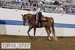 12r13_0737 thumbnail
