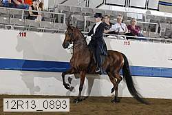 12r13_0893 thumbnail