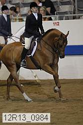 12r13_0984 thumbnail