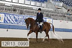 12r13_0990 thumbnail