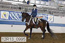 12r13_0995 thumbnail