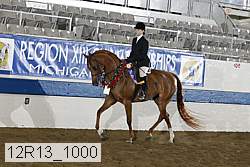 12r13_1000 thumbnail