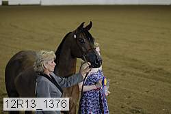 12r13_1376 thumbnail