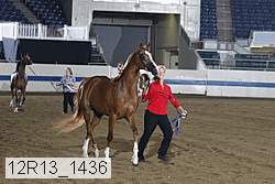 12r13_1436 thumbnail