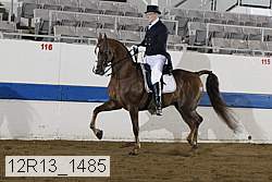 12r13_1485 thumbnail