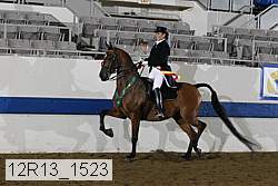 12r13_1523 thumbnail