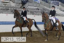 12r13_1534 thumbnail