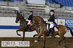 12r13_1535 thumbnail