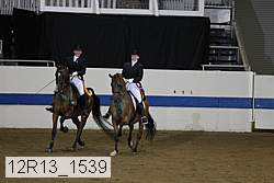 12r13_1539 thumbnail