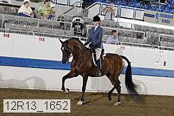 12r13_1652 thumbnail