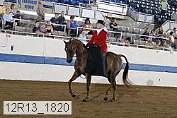 12r13_1820 thumbnail