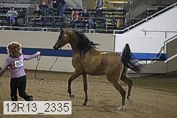 12r13_2335 thumbnail