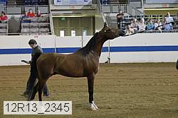 12r13_2345 thumbnail