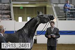 12r13_2461 thumbnail