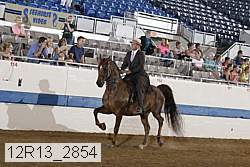 12r13_2854 thumbnail