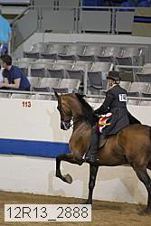 12r13_2888 thumbnail