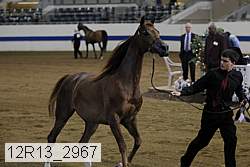 12r13_2967 thumbnail