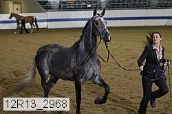12r13_2968 thumbnail