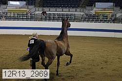 12r13_2969 thumbnail