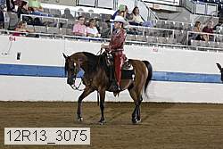 12r13_3075 thumbnail