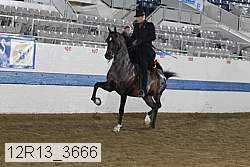 12r13_3666 thumbnail