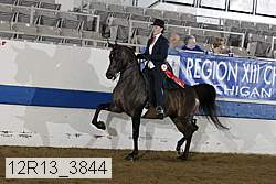 12r13_3844 thumbnail