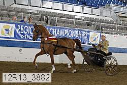 12r13_3882 thumbnail