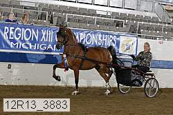 12r13_3883 thumbnail