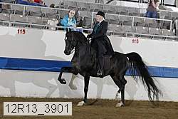 12r13_3901 thumbnail