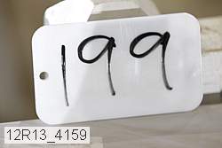 12r13_4159 thumbnail