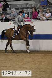 12r13_4172 thumbnail