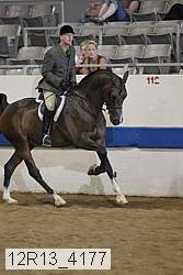 12r13_4177 thumbnail