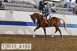 12r13_4193 thumbnail