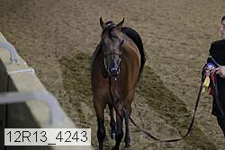12r13_4243 thumbnail