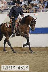 12r13_4328 thumbnail