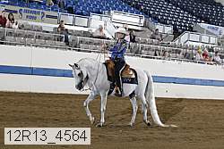 12r13_4564 thumbnail