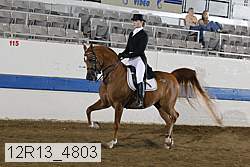 12r13_4803 thumbnail