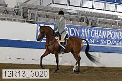 12r13_5020 thumbnail