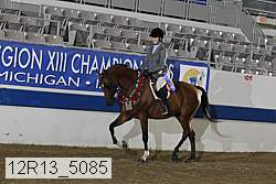 12r13_5085 thumbnail