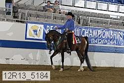 12r13_5184 thumbnail
