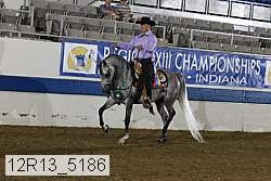 12r13_5186 thumbnail