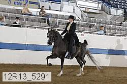 12r13_5291 thumbnail
